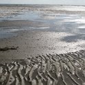 2014 Ile de Noirmoutiers (174)